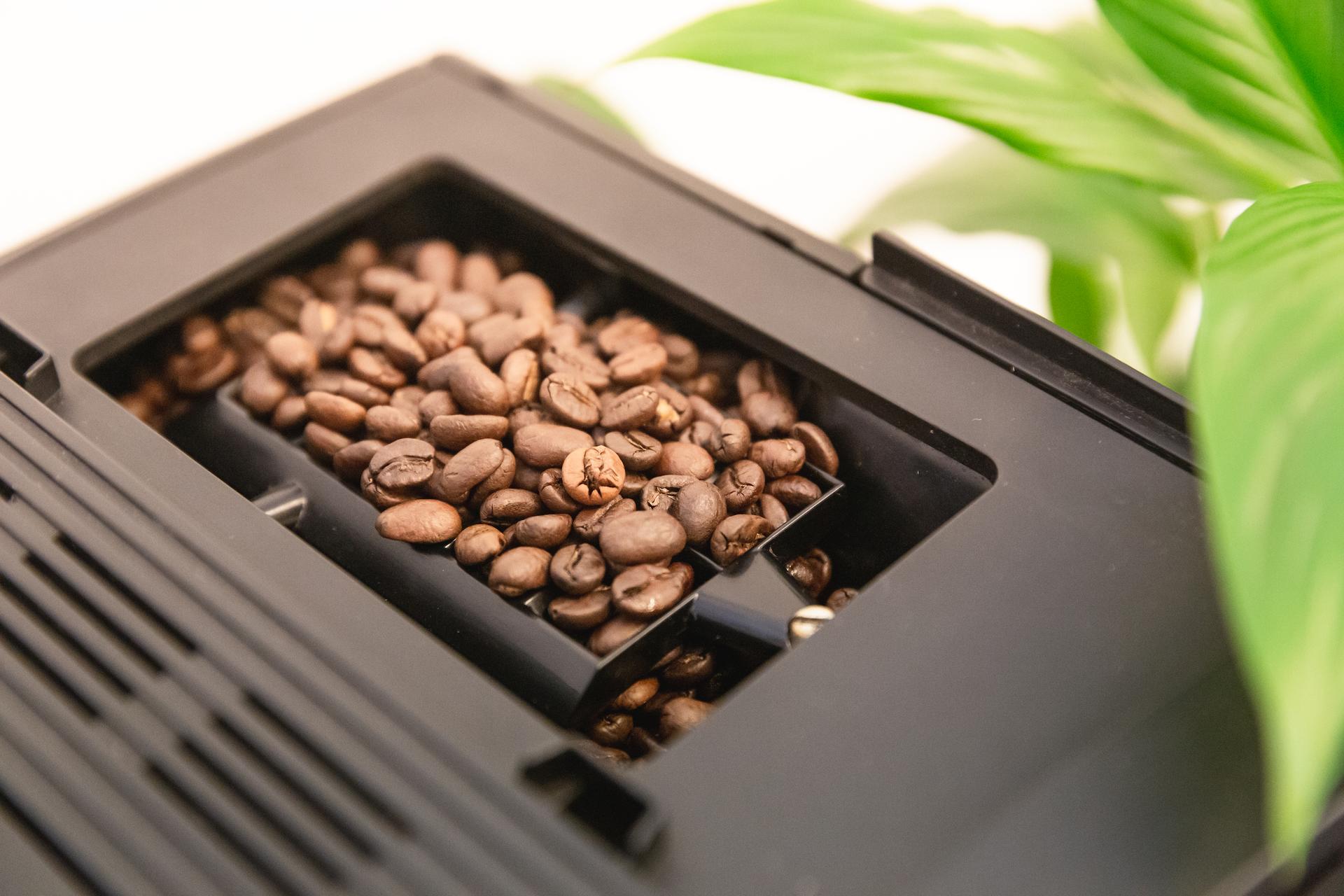 Kvalitní čerstvě pražená káva do 14 dnů od pražení u vás doma